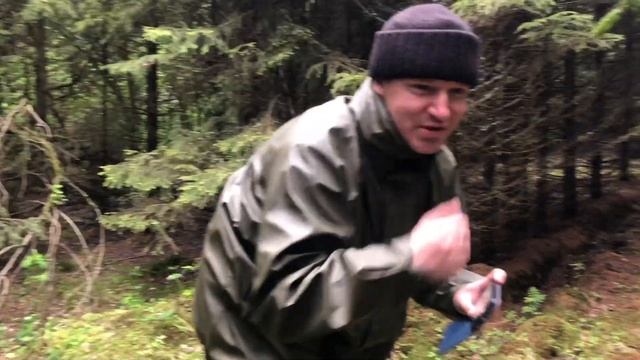 Открыли грибной сезон в Подмосковье
