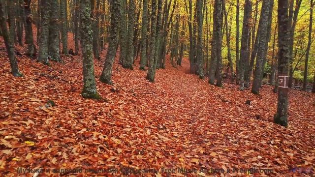 Музыка для тех, кто целуется под шум поезда на ночном вокзале - Slowing Down Time -- Kirk Osamayo --