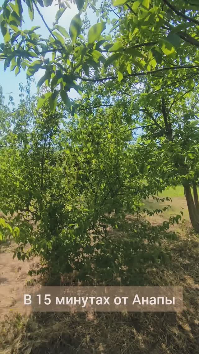 Земля у моря: участок ИЖС в Гай-Кодзоре с коммуникациями.