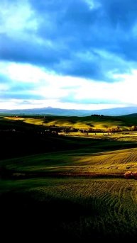 Кадры, которые вас удивят