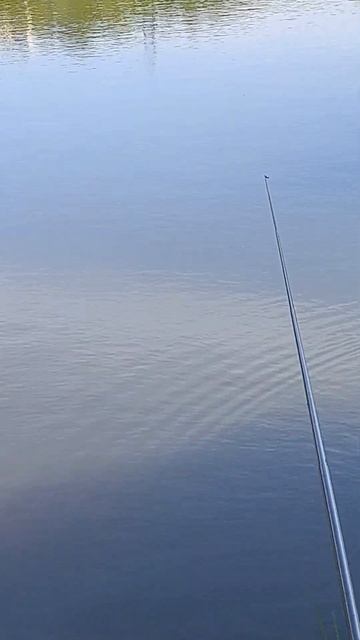 Немного медитировал на природе. #fishing #медитация #поплавок