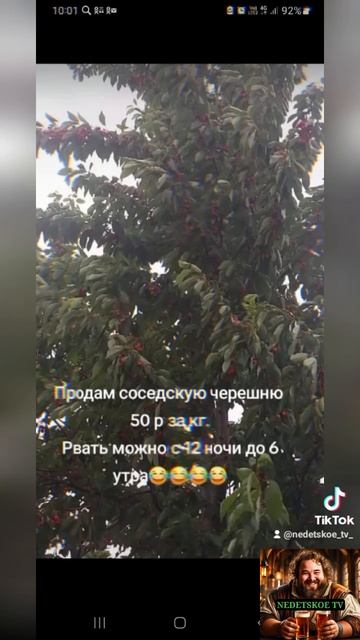 Продам черешню!