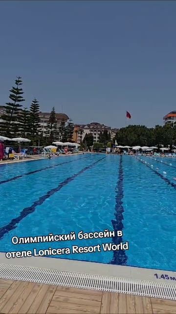 огромный олимпийский бассейн в отеле Lonicera Resort World #lonicera #пляжавсаллар #отелитурции #оте