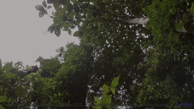 Природа становится личной вселенной под этот трек - Cloud Bounce -- Ketsa -- Metaphysics
