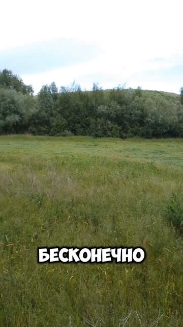 Удивительно, но здесь был пруд! И снова пересох пруд