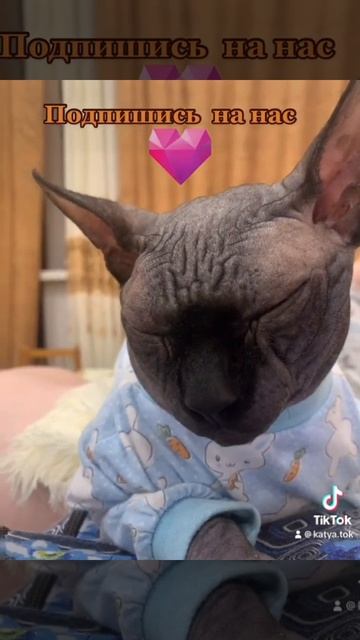 14 июля 2023 г.