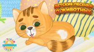 ДЕТСКИЕ ПЕСЕНКИ О ЖИВОТНЫХ 🐶 🐱 ДОБРЫЕ ПЕСЕНКИ ДЛЯ САМЫХ МАЛЕНЬКИХ 0+