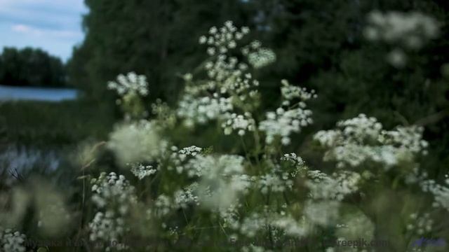 Это видео ВЫЗОВЕТ у тебя мурашки! - Sunset Synth -- DJ Petition -- Unnamed album