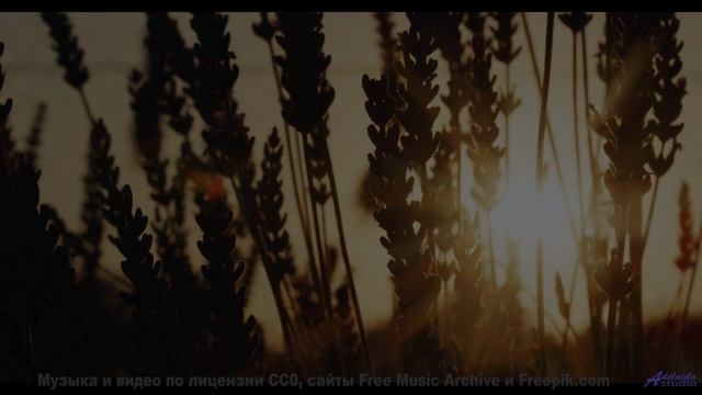 Музыка для тех, кто целуется под шум поезда на ночном вокзале - Life and Times -- Derek Clegg -- Goo