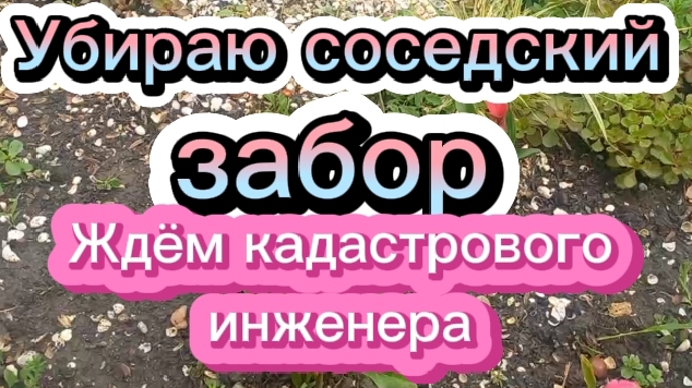 Убираю соседский забор. Ждём кадастрового инженера.