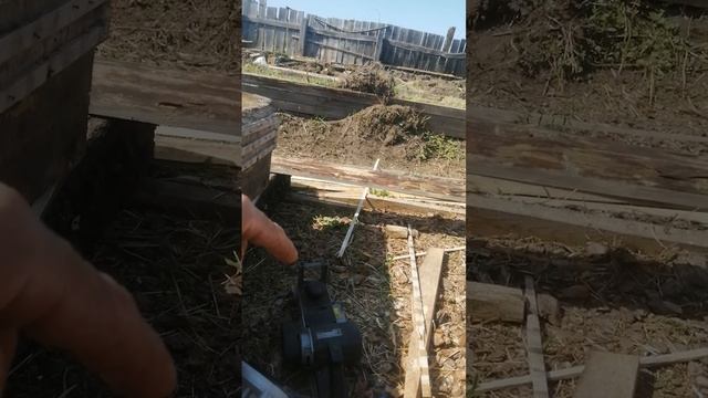Пробный момент