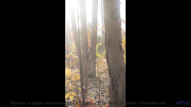 Что скрывается за этими кадрами Ответ вас удивит! - Needing Silence, Needing Peace -- A Tape Full of