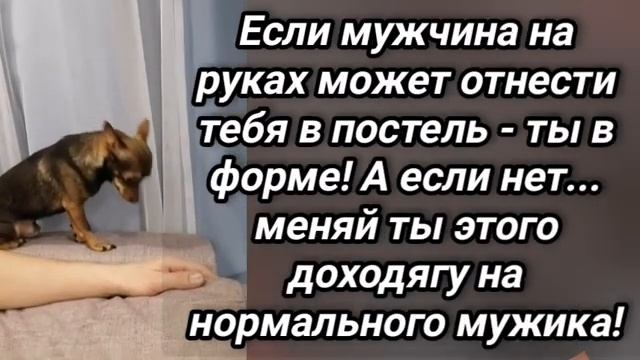Анекдот из Сыктывкара