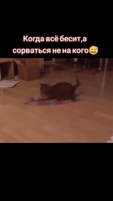 Мой хреновый рабочий день!