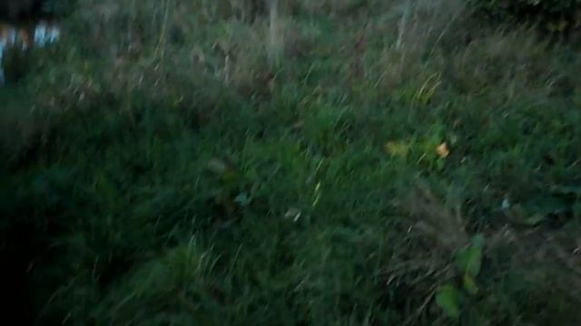 Как же лета оказалось мало ПВД 2Д 27 28 08 2016