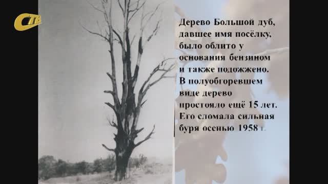 МЕМОРИАЛЬНОМУ КОМПЛЕКСУ "БОЛЬШОЙ ДУБ" - 50 ЛЕТ