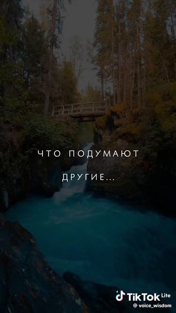 Житейское со смыслом – 13