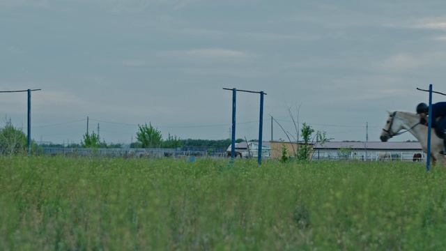 Урок 3 - Этап "Низкие ветки" | Конный туризм