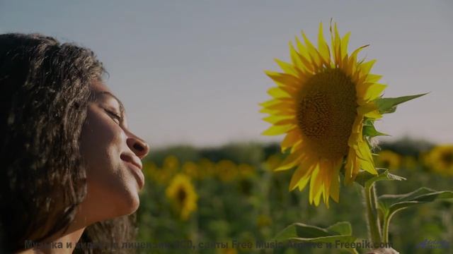 Леса звучат как гимн свободе вместе с этим треком - Depicted In The Beauty -- Derek Clegg -- Faces (