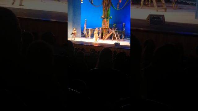 VID_20250616_110612.mp4