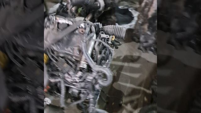 1000268396.mp4 m9r