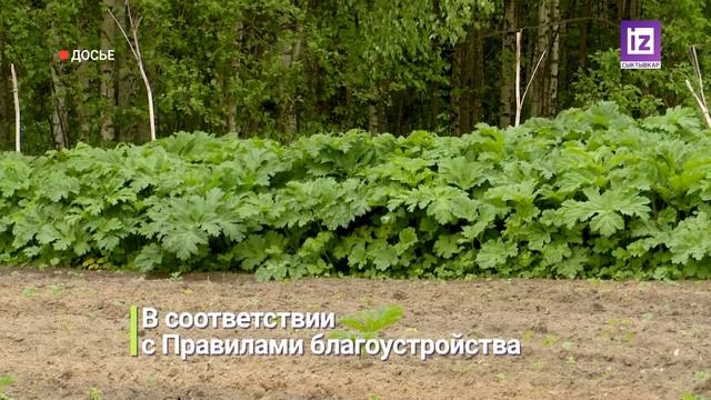 iZ НОВОСТИ – 16 ИЮНЯ 2025