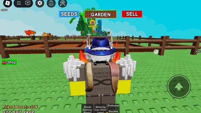 разыгровой бесплатный подсолнух в вырасти сад