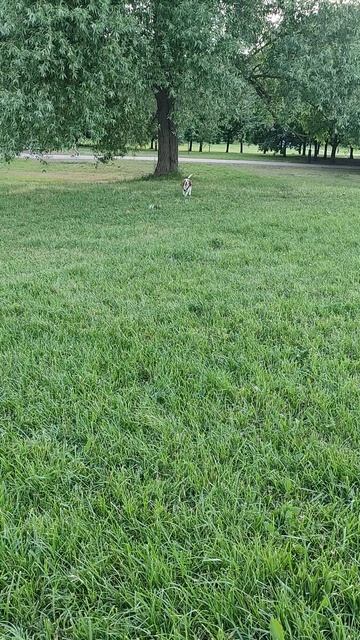 VID_20250616_192039