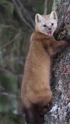 Вот умеют же люди отдыхать 😂