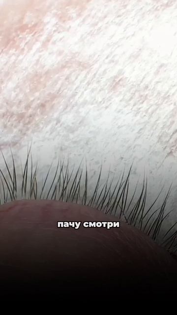 Как выглядит бестолковое обезжиривание ресниц?!