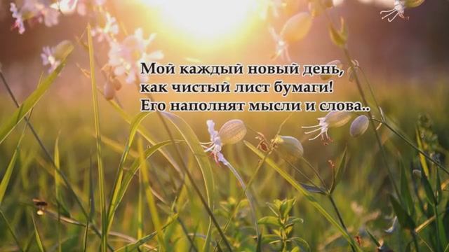 Стих "Мой каждый новый день, как чистый лист бумаги..." автор - Шинкарева Светлана