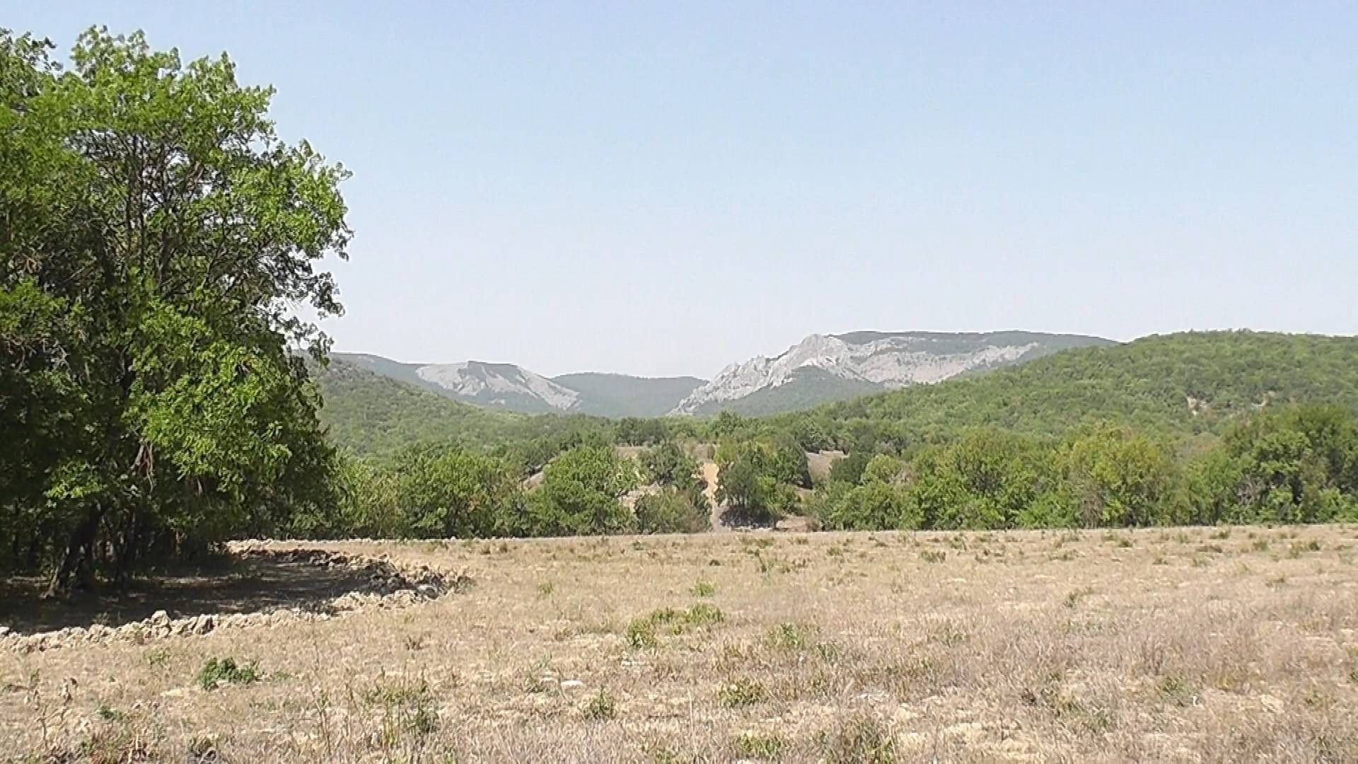 Короткие Крымские сюжеты.