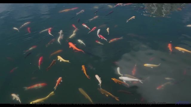 Этот саундтрек - как бриз, который касается вашей души! - Way-to-West -- Ketsa -- Reflective Process