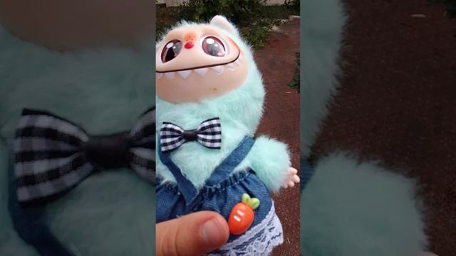 1000000251.mp4