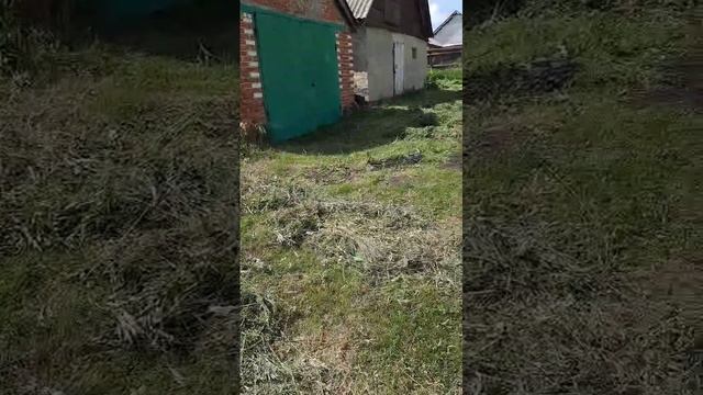 Видео WhatsApp 2025-06-15 в 14.07.23_ee38363d
