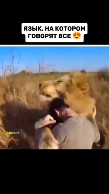 VID_20250617_202813_854.mp4