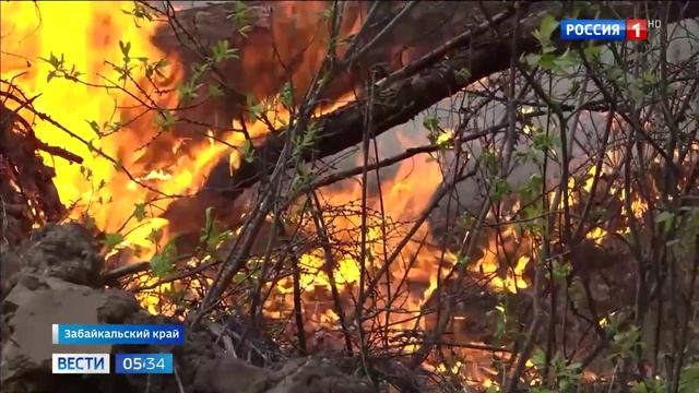 Россия1, Борьба с пожарами на Дальнем Востоке, 17 июня 2025