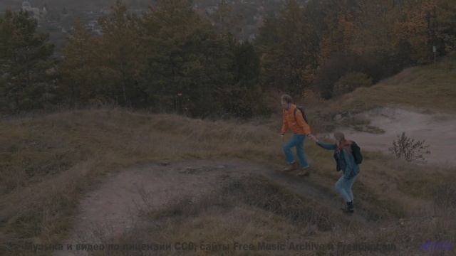 Этот бит бьёт сильнее, чем волны о скалы! - Stealing Glimpses Of Your Face -- HoliznaCC0 -- We Drove