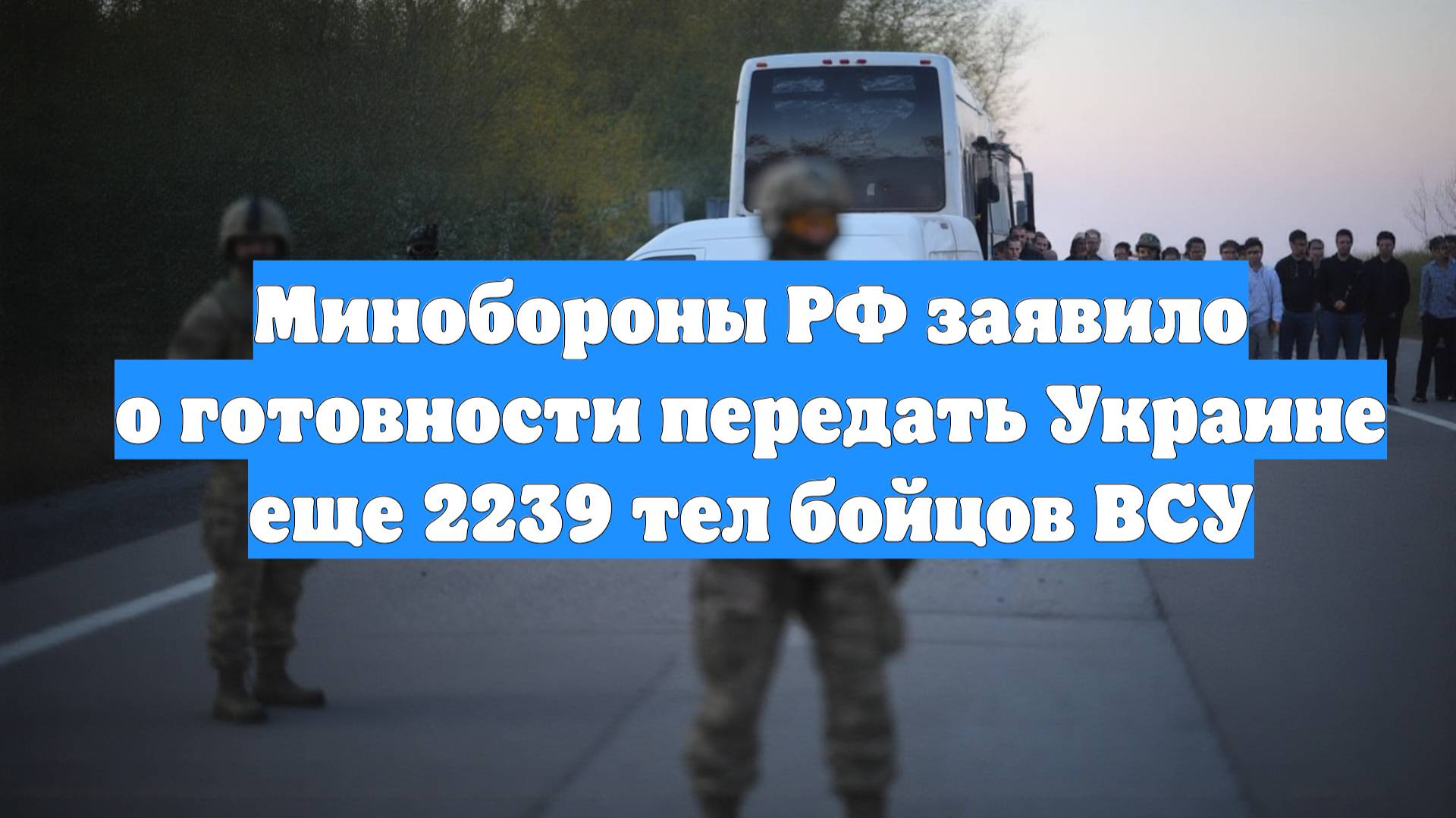 Минобороны РФ заявило о готовности передать Украине еще 2239 тел бойцов ВСУ