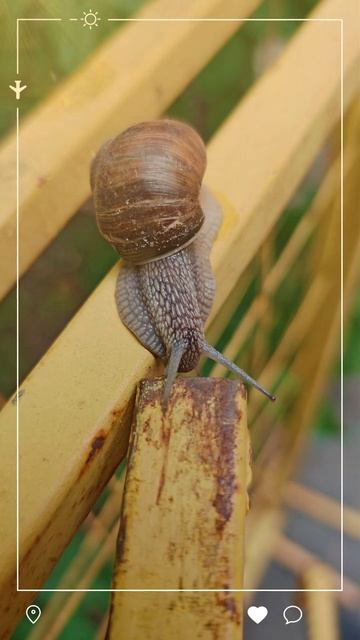 Мир