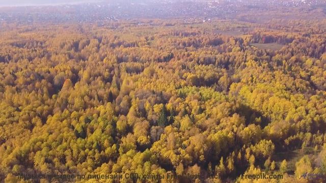Ноты вливаются в пейзажи, создавая полную гармонию - Please Come Back -- Ketsa -- Abundance