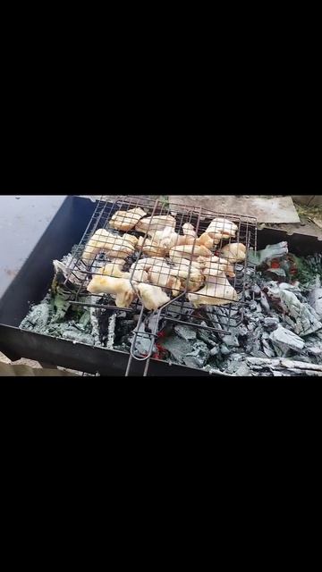шашлык под дождем