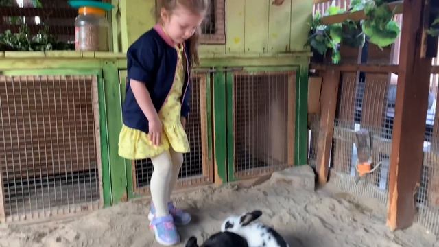 Милые кролики. Гуляем вместе с Ниной