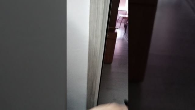 VID_20250617_202033.mp4