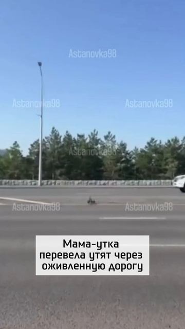 Удивительное сегодня