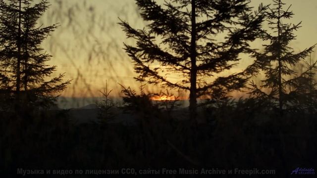 Этот трек - ваш билет в любую точку мира! - Fire Away -- Forget the Whale -- You. Me. Talk. Now.