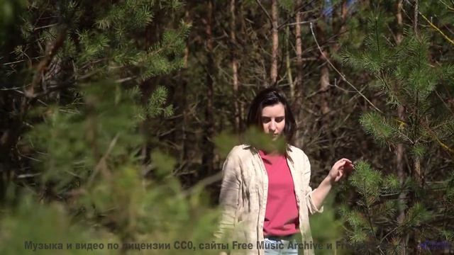 Поля танцуют, когда включается такой саунд - The Contra Chop -- Jim Hall -- MishMash EP