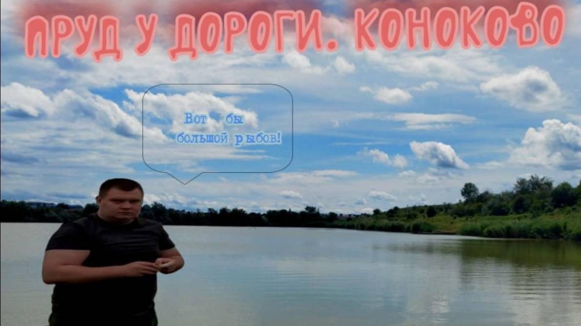 Рыбалка в Конокова . Пруд у дороги.