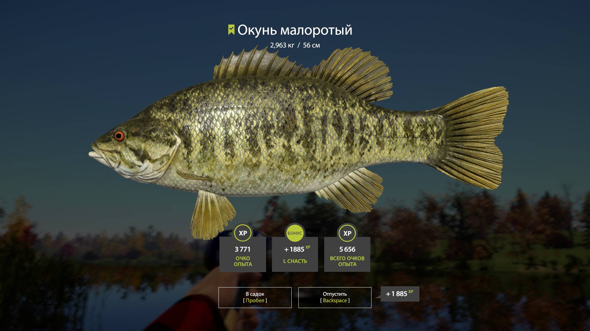 Русская рыбалка 4 ох. Лосиное