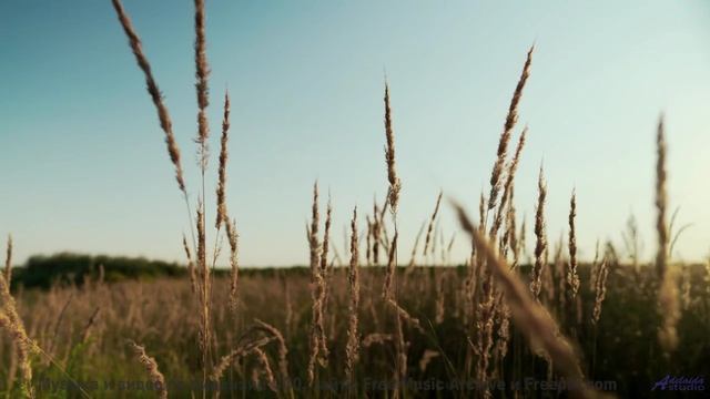 Эта музыка заставит вас пересмотреть свою жизнь! - There is no threat -- Roboy -- Le Petit chat doit